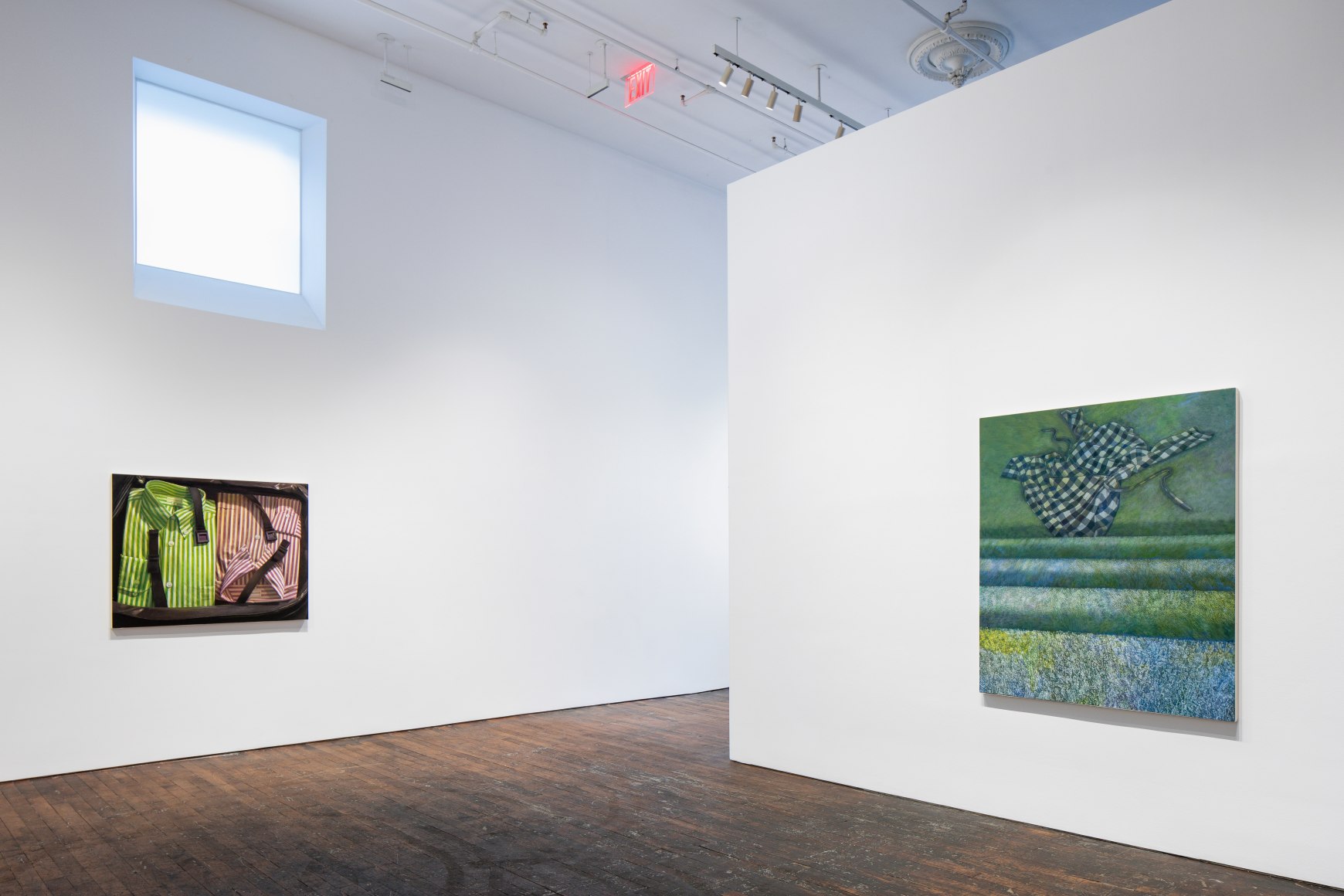 Recent Work, installation view