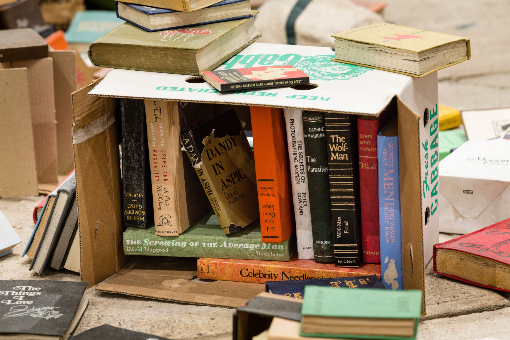 Charles LeDray Free Public Library (detail 2)
