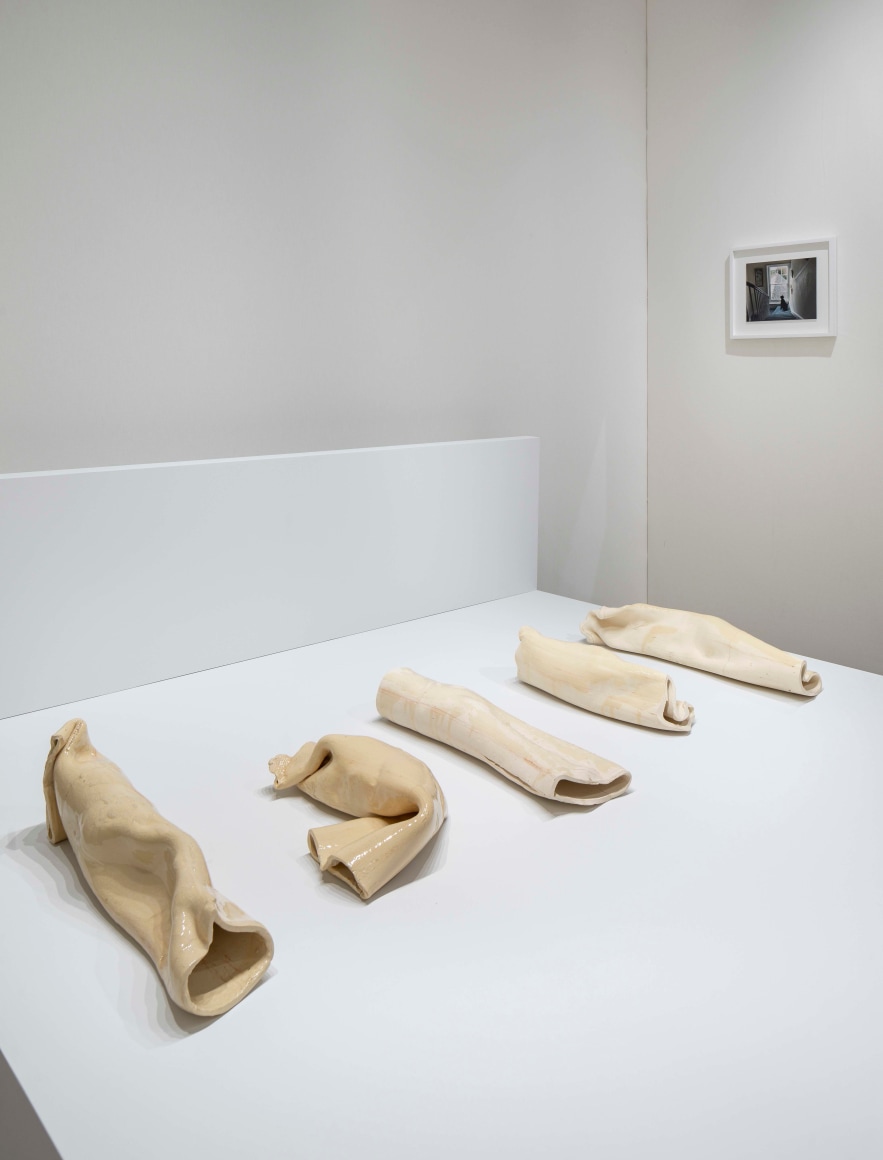 Lucy Skaer at ADAA: The Art Show, installation view