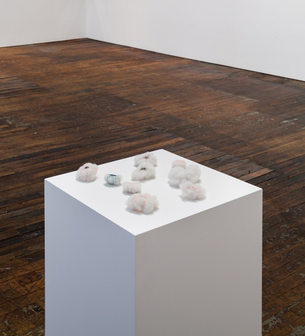 Kerry Andresen Feelies