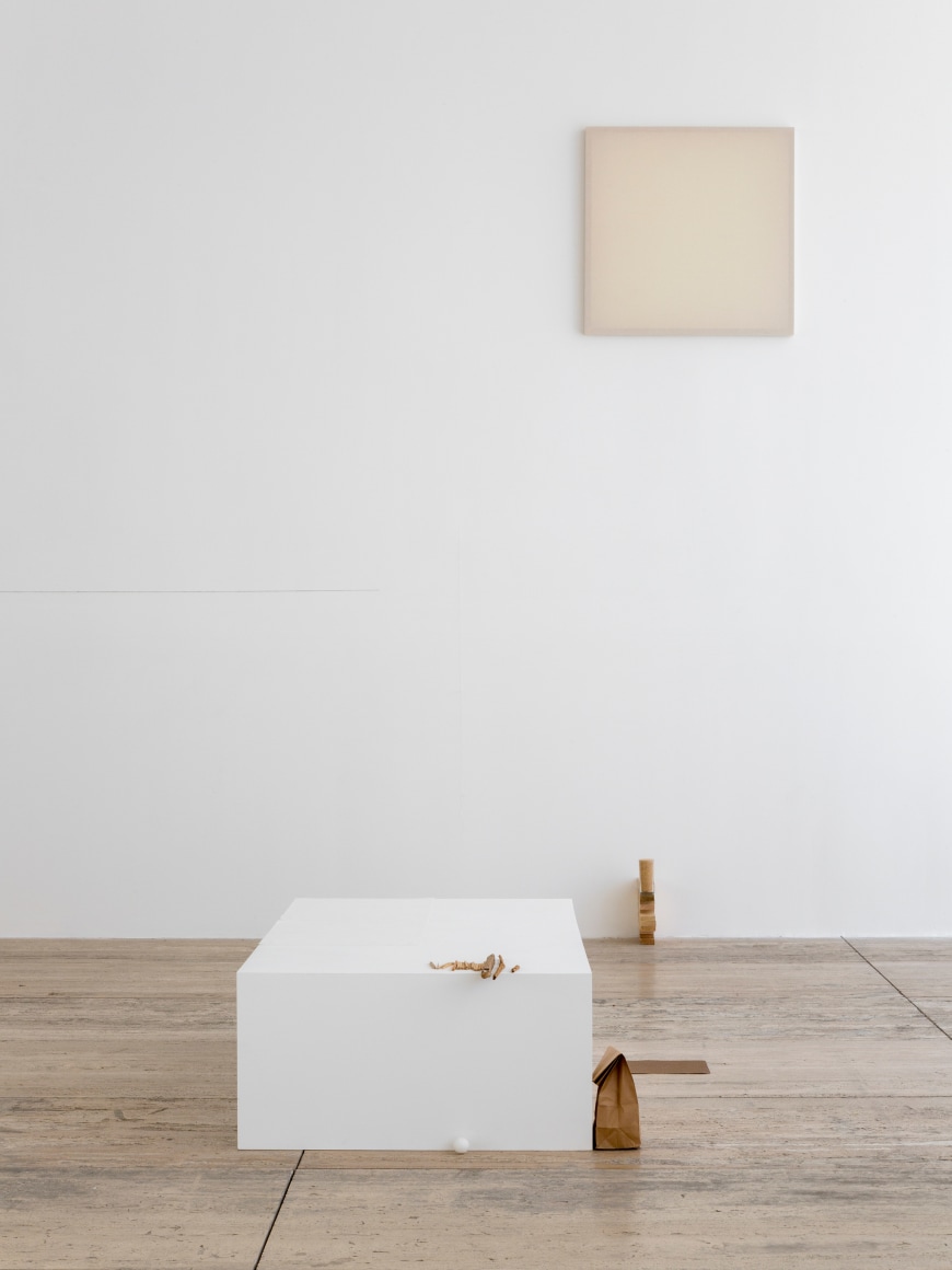 Fernanda Gomes, Museo Jumex, Mexico City