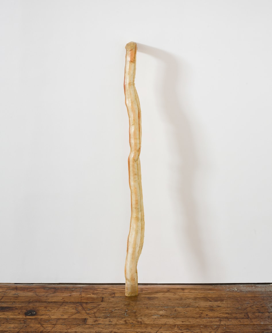 Bruce Nauman Untitled