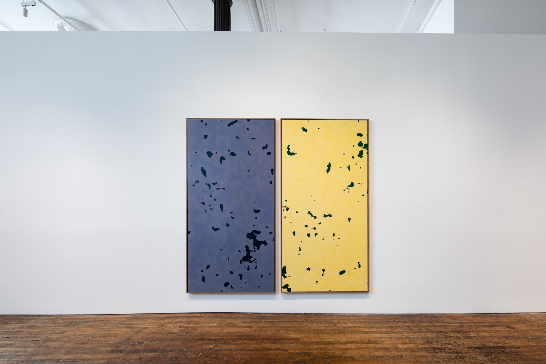 installation view 6