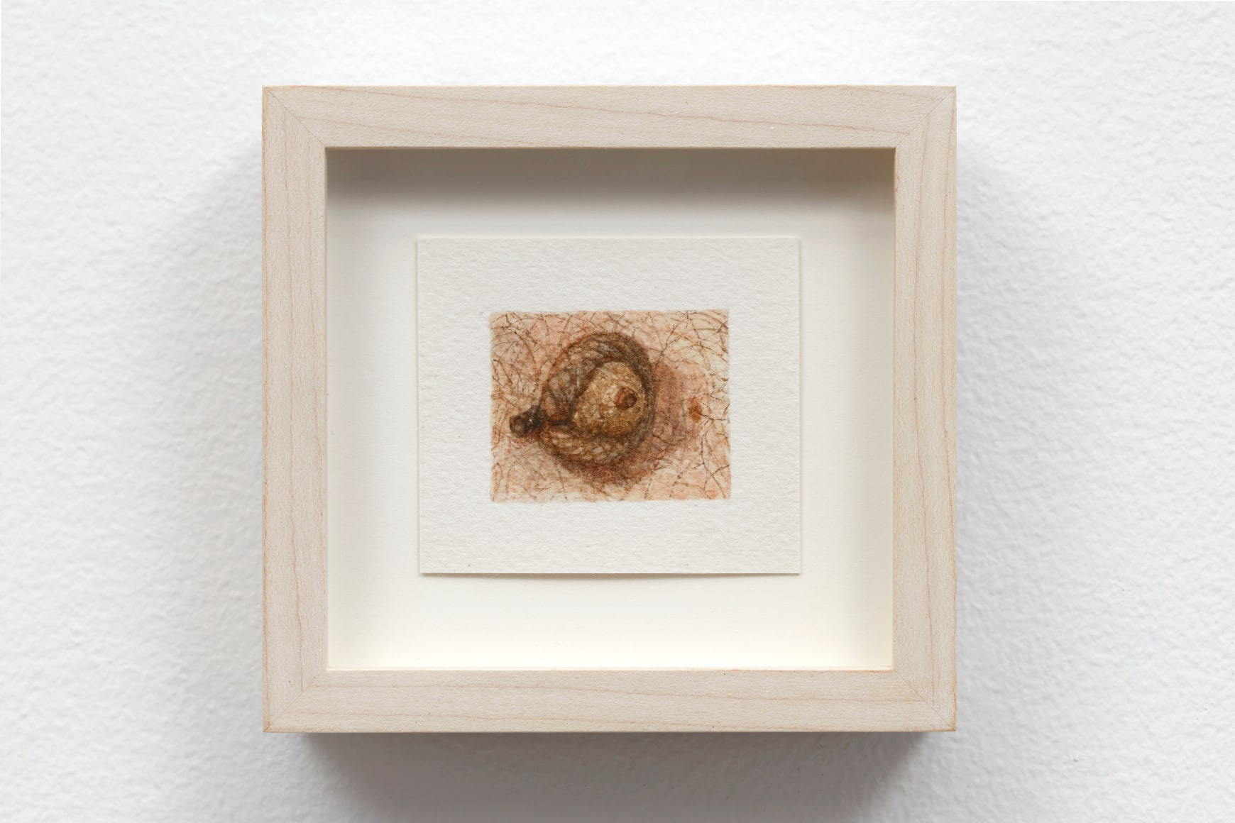 ELLEN ALTFEST, Acorn