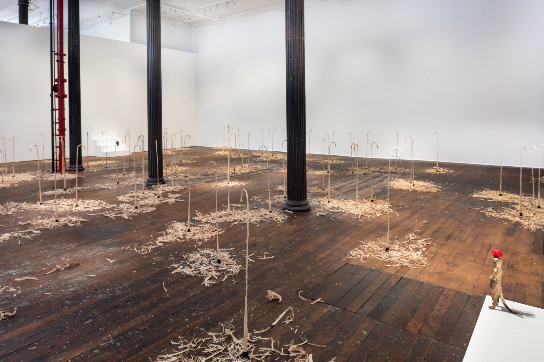 installation view 7