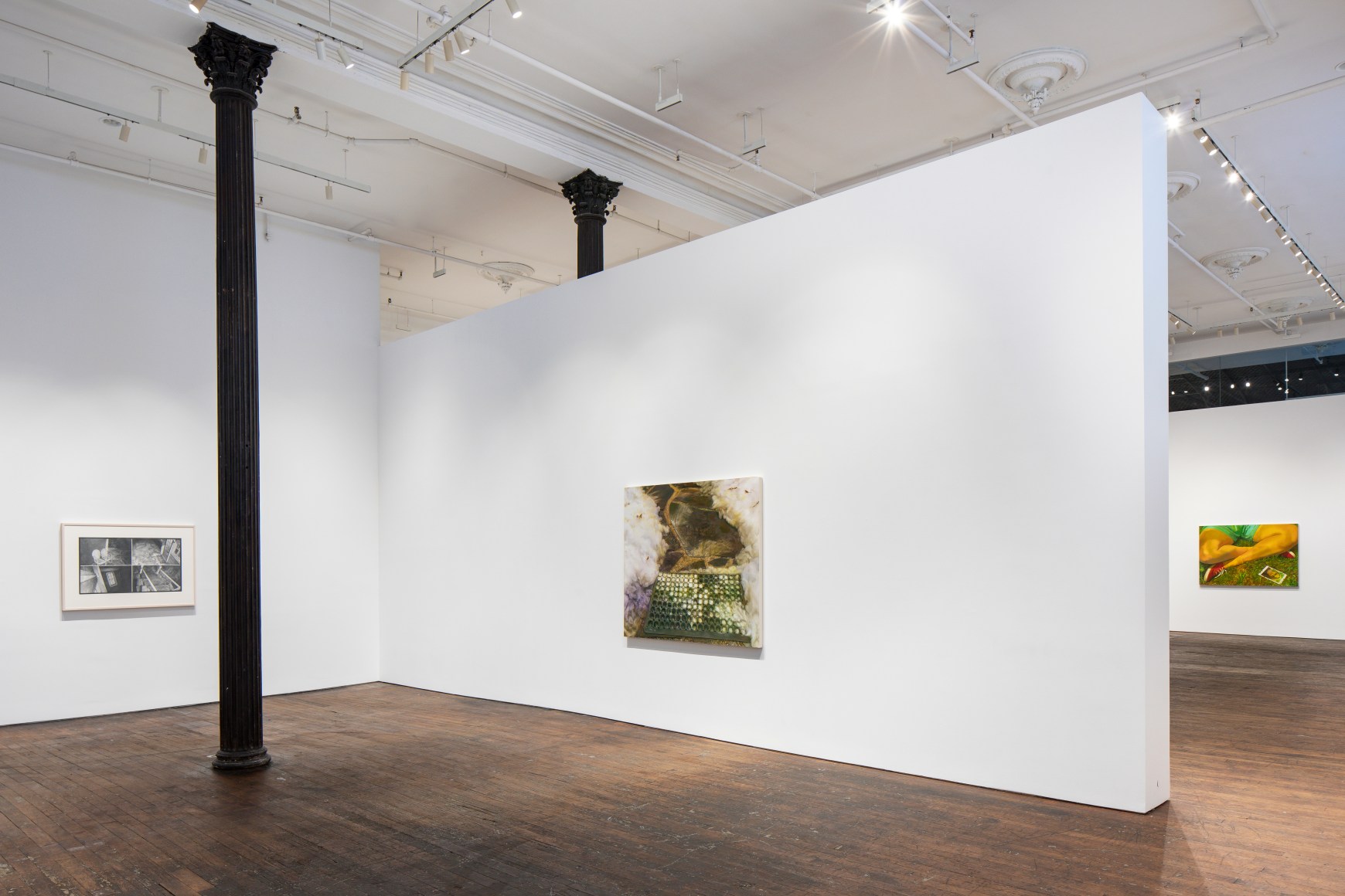 Recent Work, installation view
