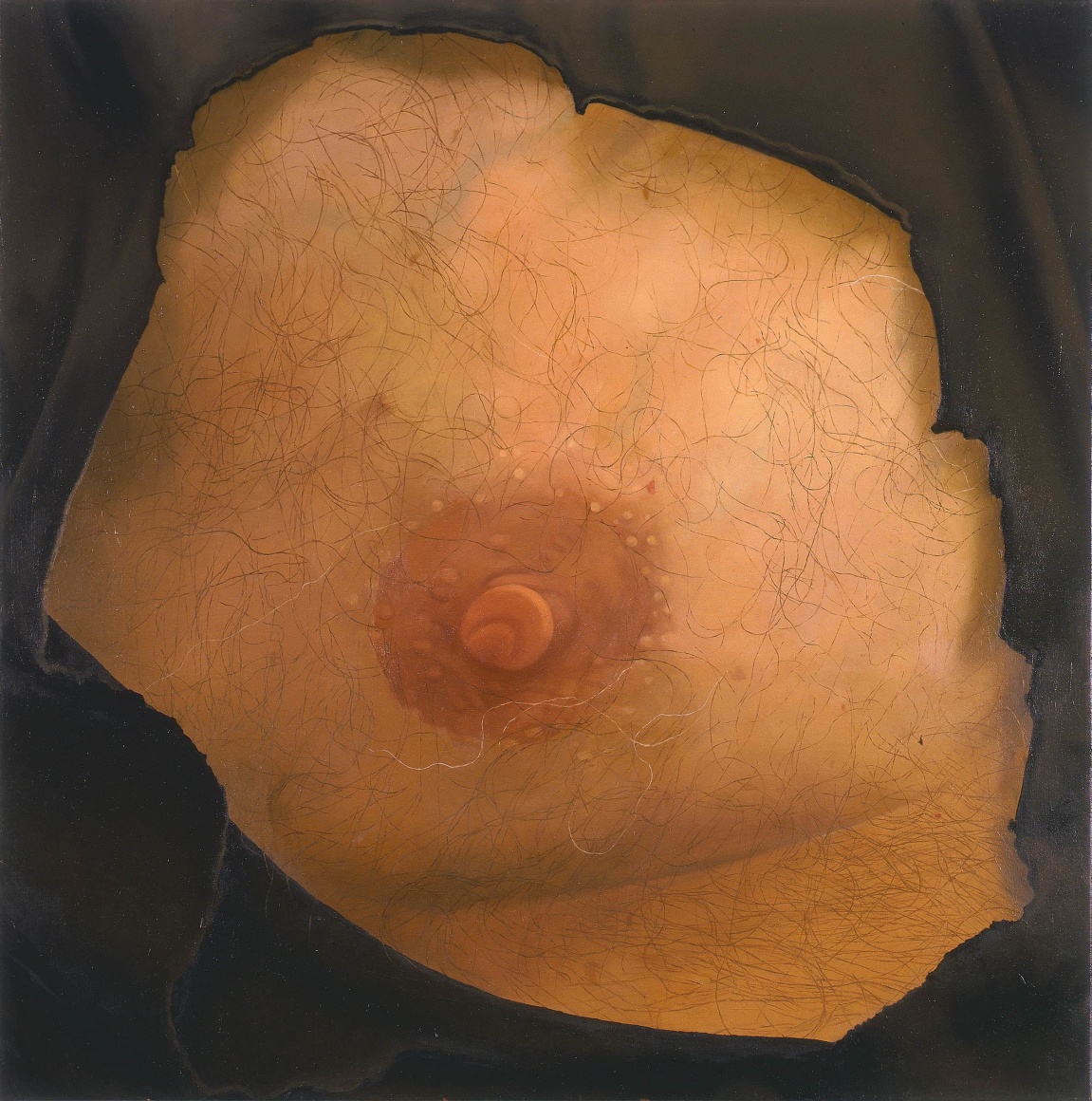 CATHERINE MURPHY, Harry's Nipple
