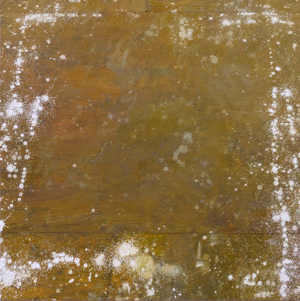 Catherine Murphy Studio Floor