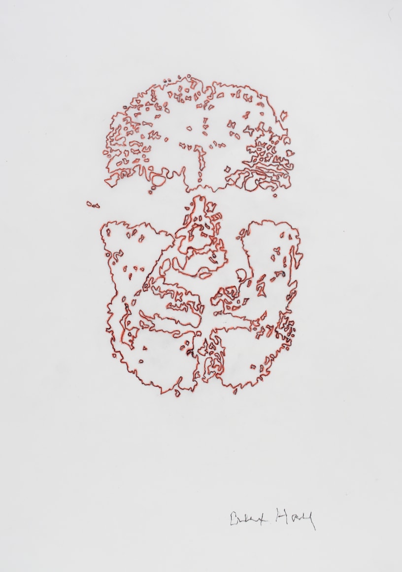 Alex Hay Face Print