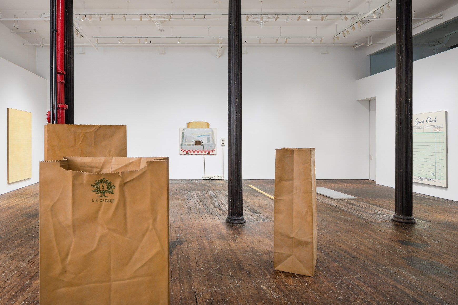 ALEX HAY Past Work and Cats, 1963-2020, Peter Freeman, Inc., New York