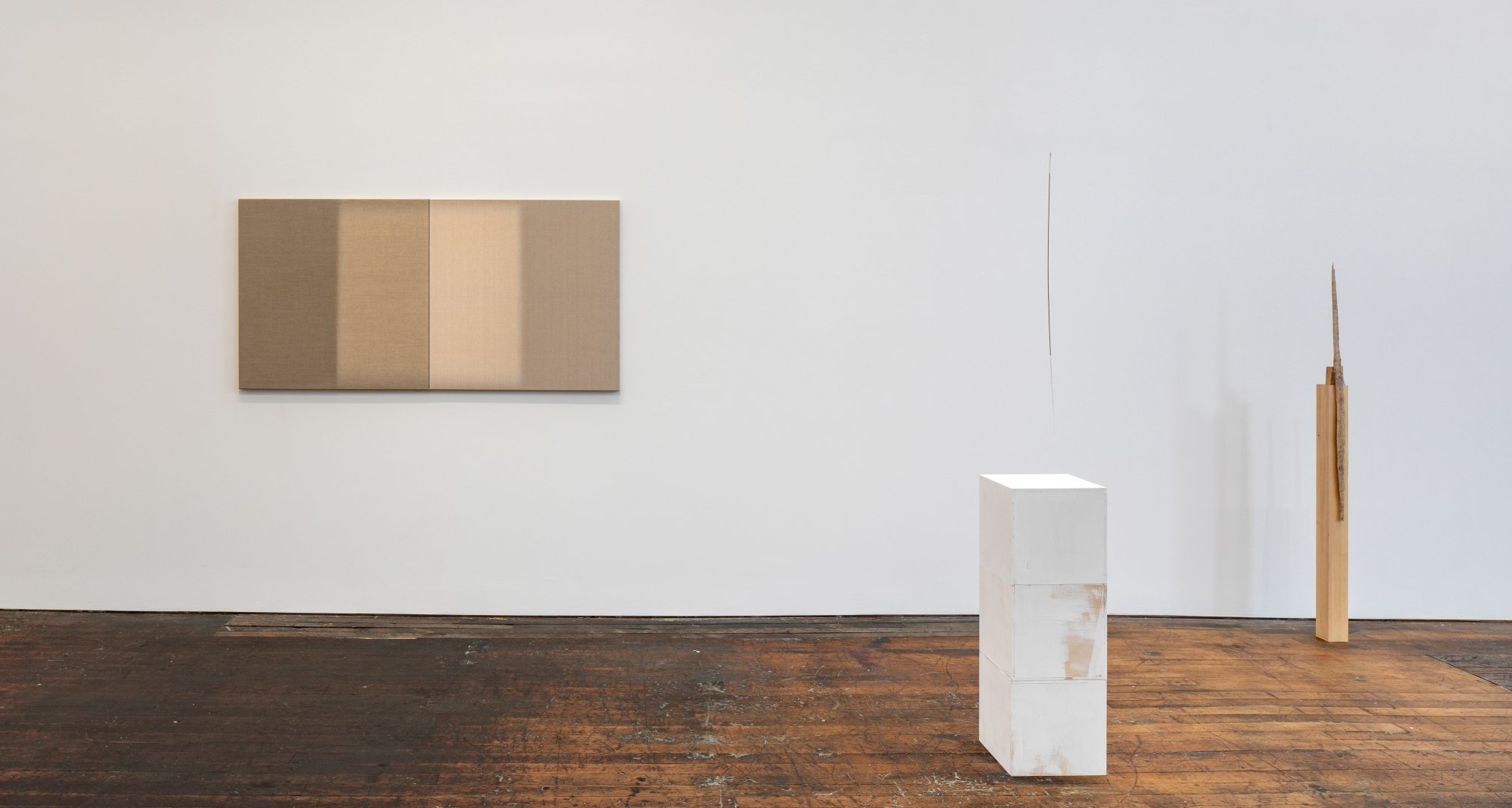 Fernanda Gomes, installation view