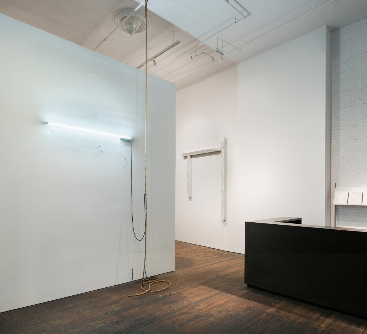 Pedro Cabrita Reis: The Field – installation view 1