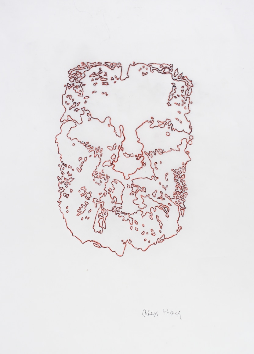 Alex Hay Face Print