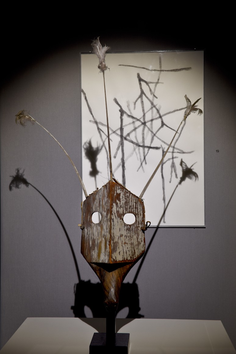Faraway Arts, So Close in Silvia Bächli’s Eyes, Musée Barbier-Mueller, Geneva