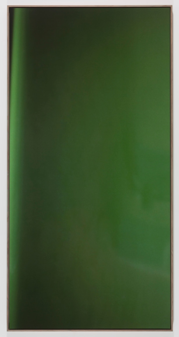 Jan Dibbets New Colorstudies - Moss Green Vertical