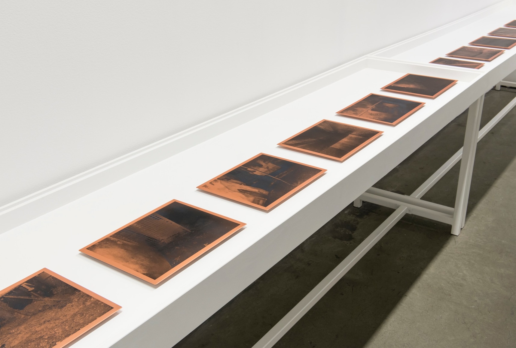 Dove Allouche | Negative Capability, The Contemporary Art Gallery, Vancouver, Canada 