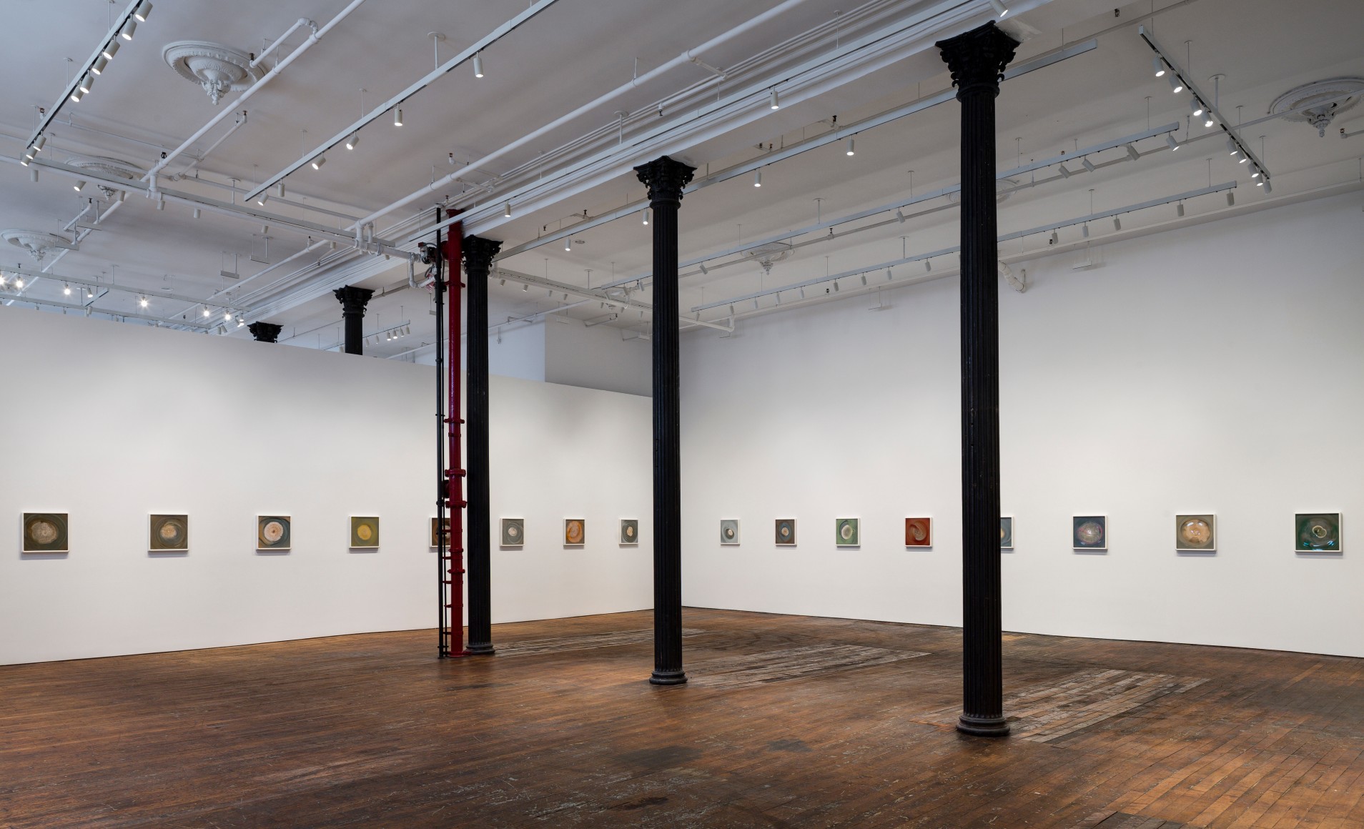 Dove Allouche: Le beau danger – installation view 4