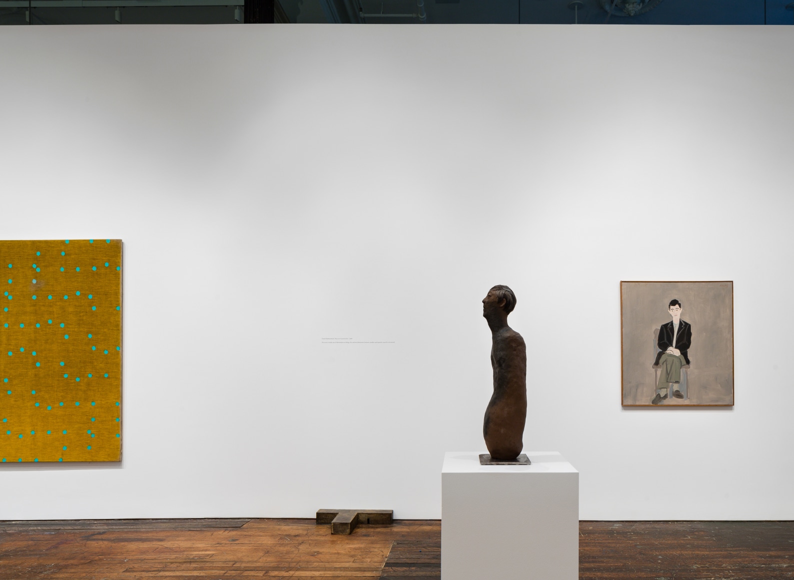 Deadeye Dick: Richard Bellamy and His Circle – installation view 18