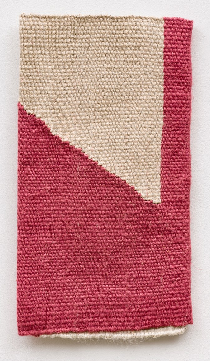 Strafella , 2017 