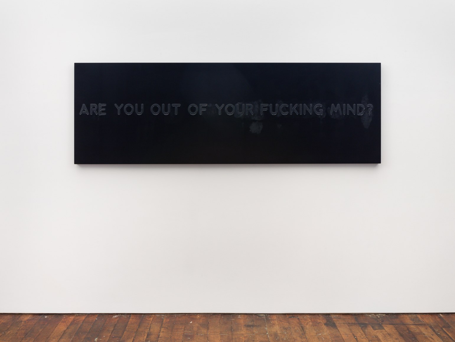 Mel Bochner Are You Out Of Your Fucking Mind? (installation) 