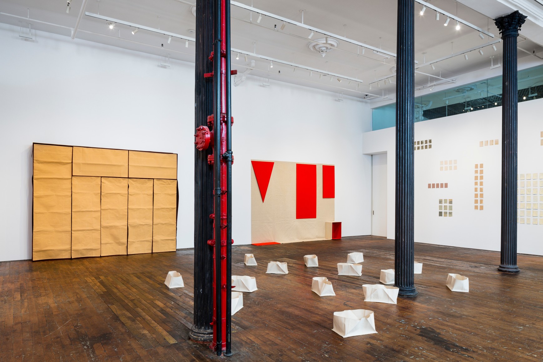 Migration of Forms 1956-2006 - installation view 12