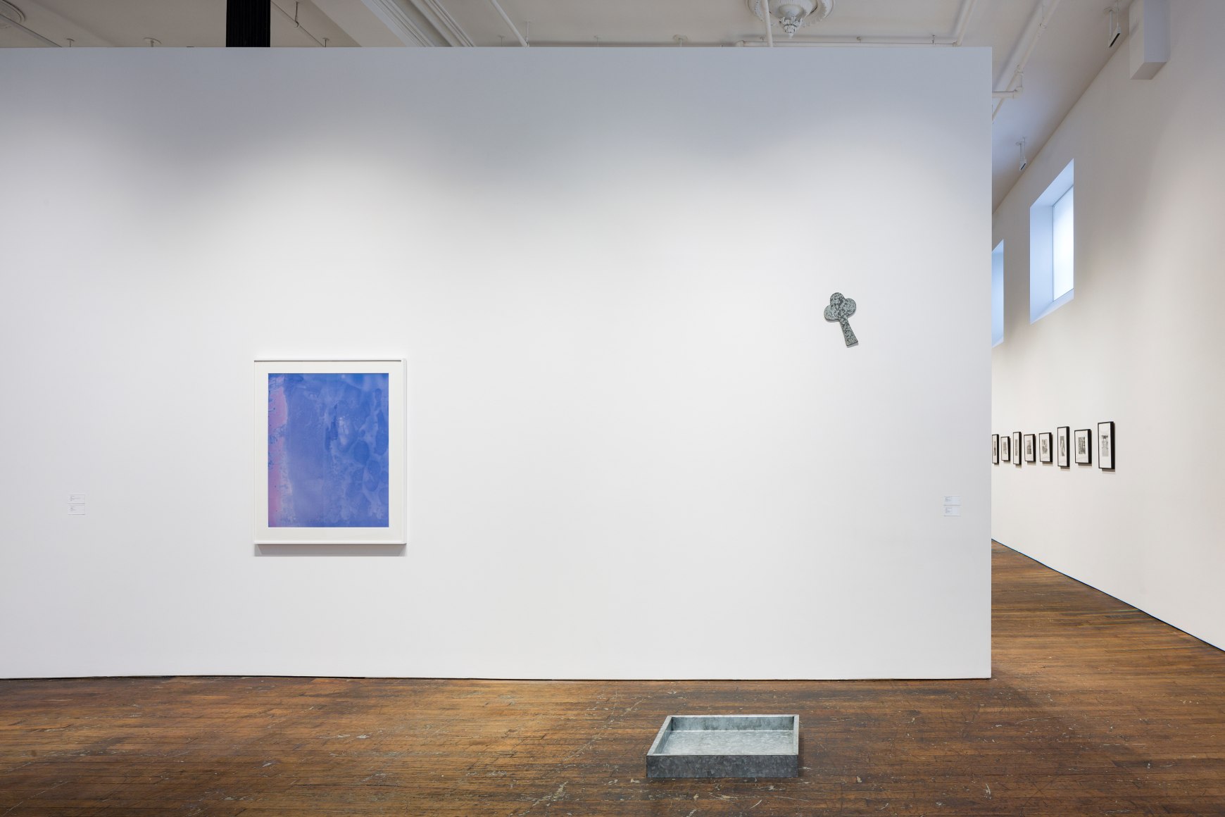 In Situ: a changing installation 