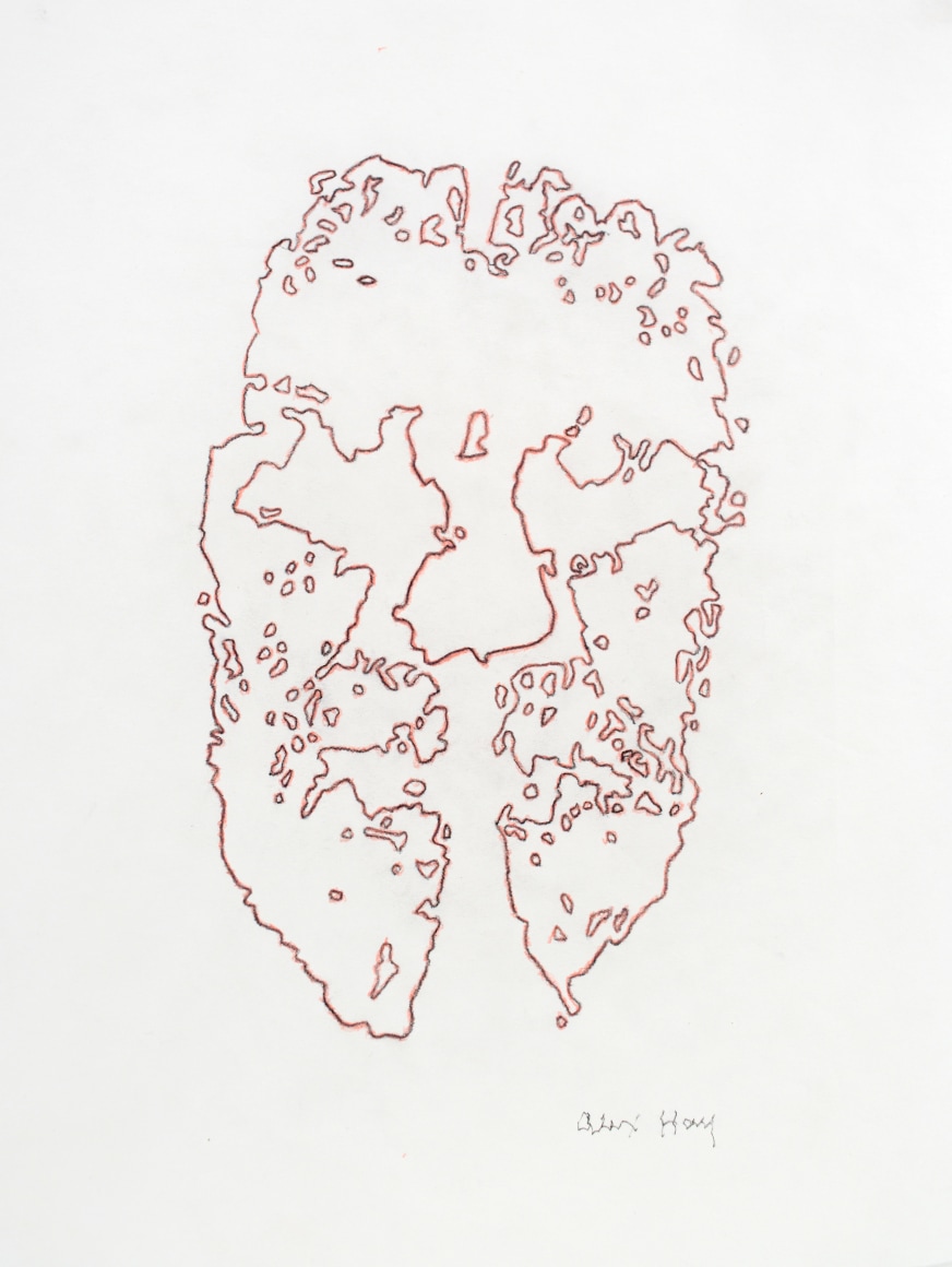 Alex Hay Face Print