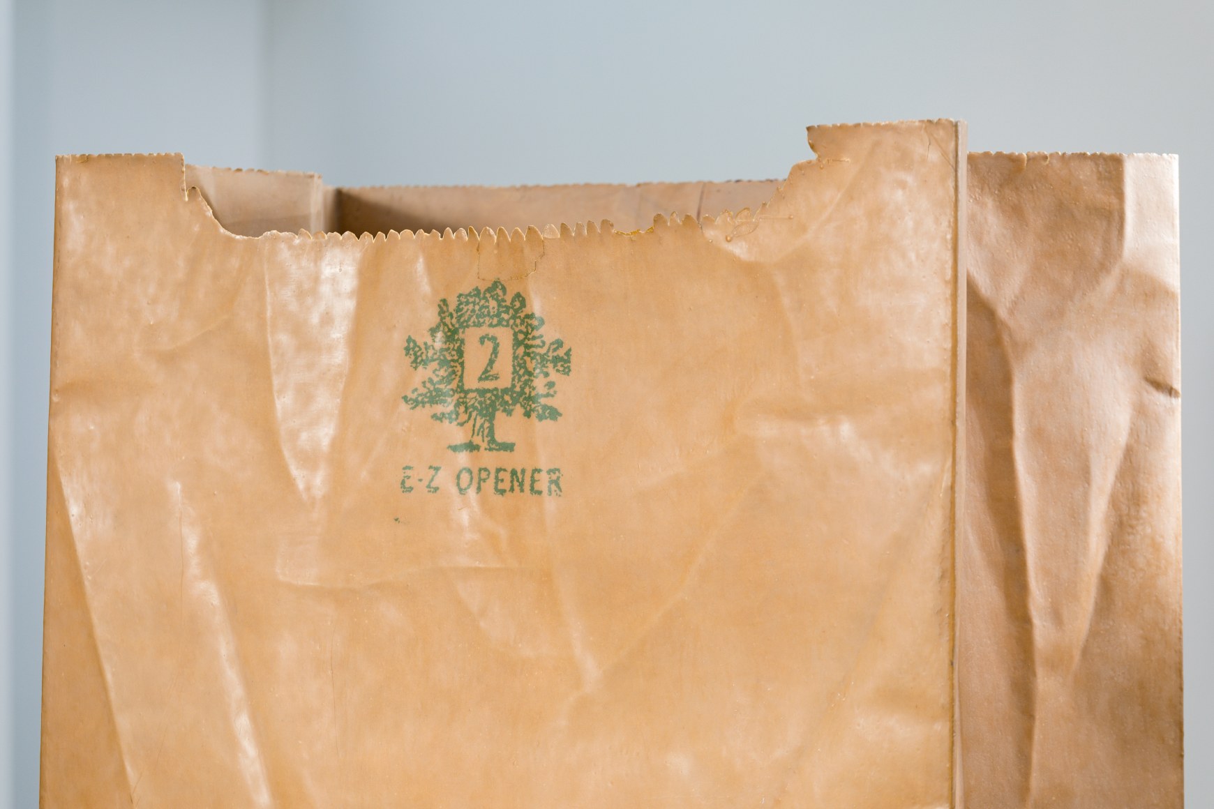 ALEX HAY, Paper Bag (detail)