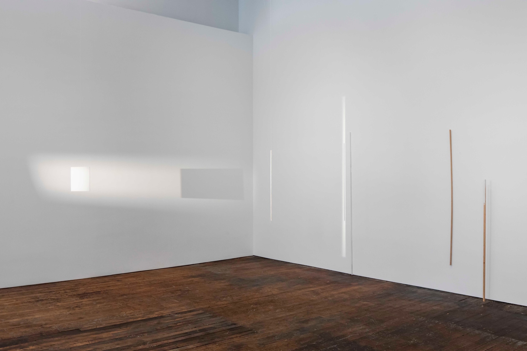Fernanda Gomes, installation view