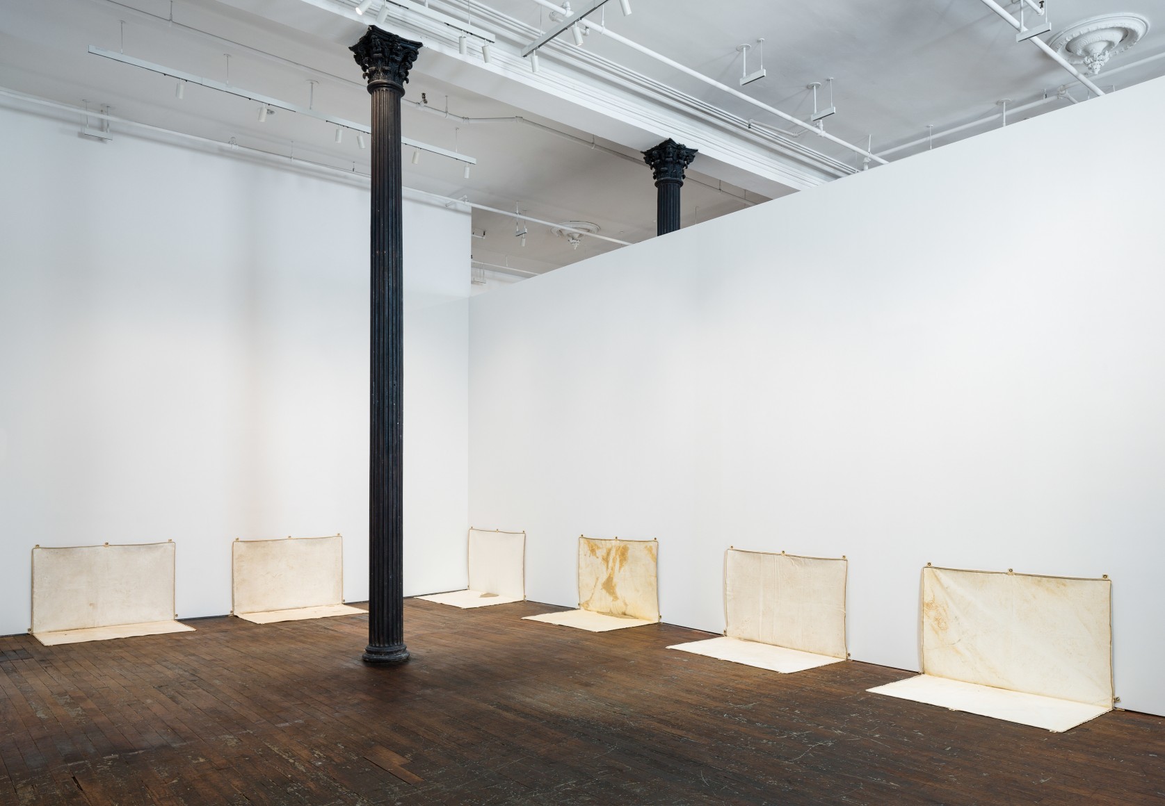 ALEX HAY Circumstance / Art , Peter Freeman, Inc., New York