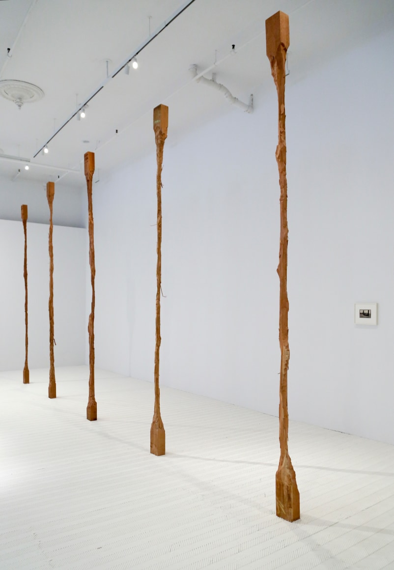 David Adamo / James Castle – installation view 6