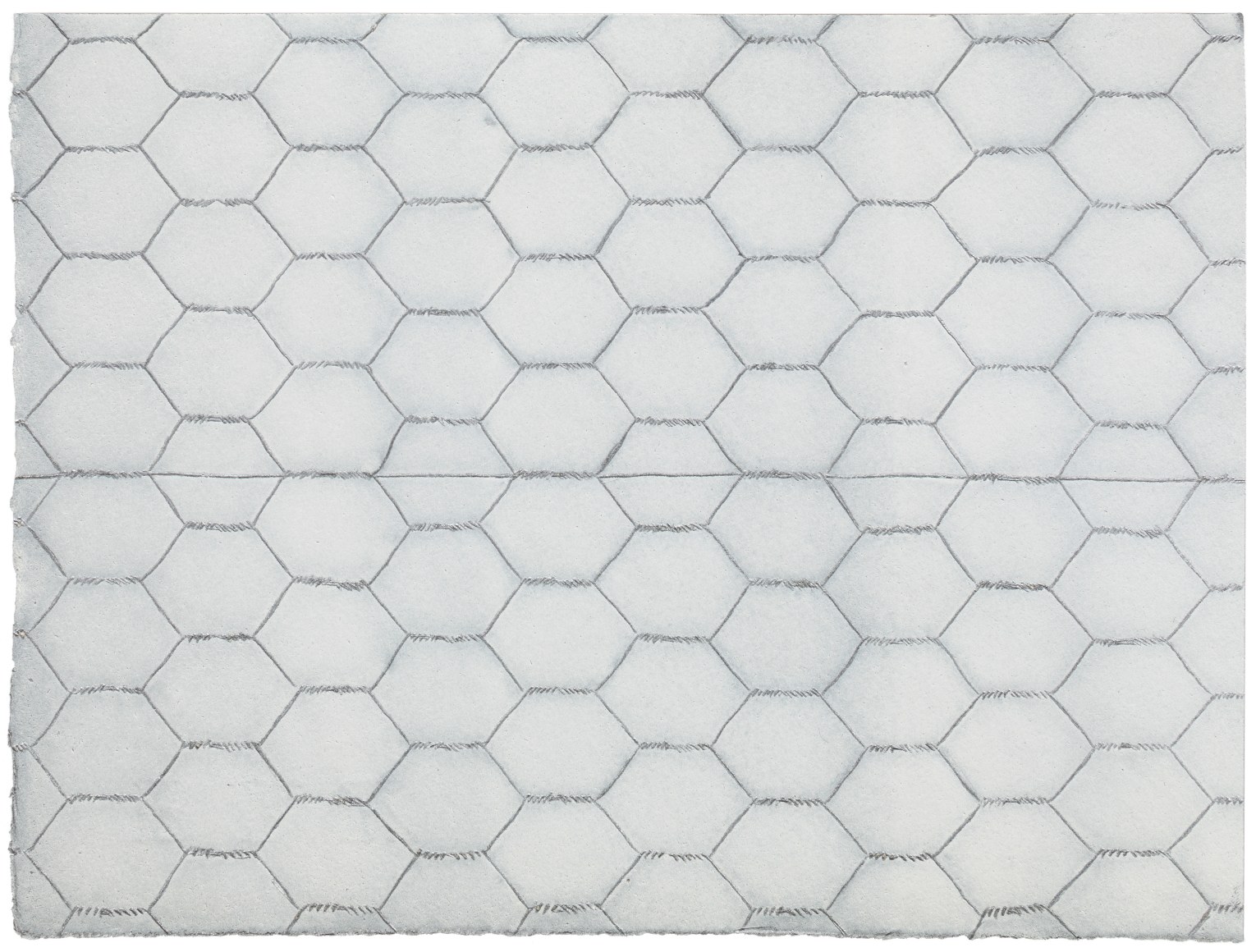 ALEX HAY, Drawing for Chicken Wire