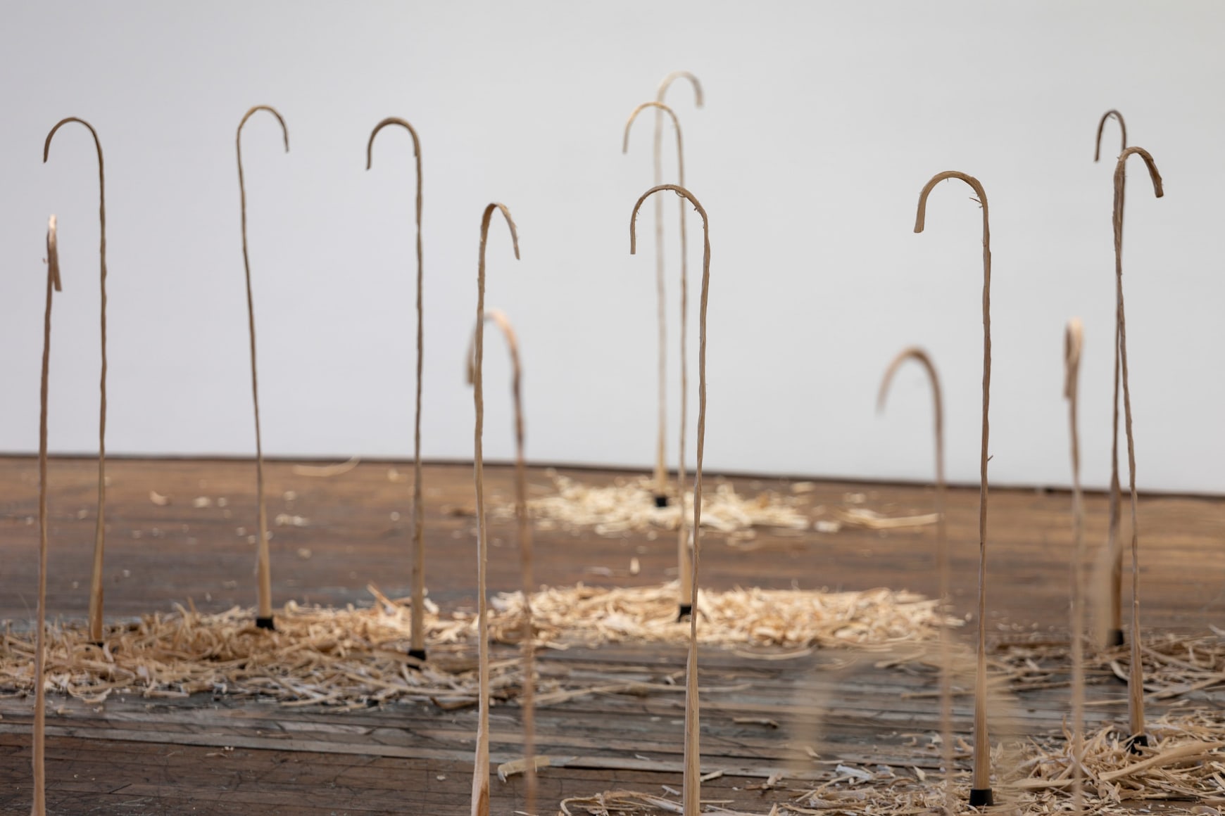 installation view 10