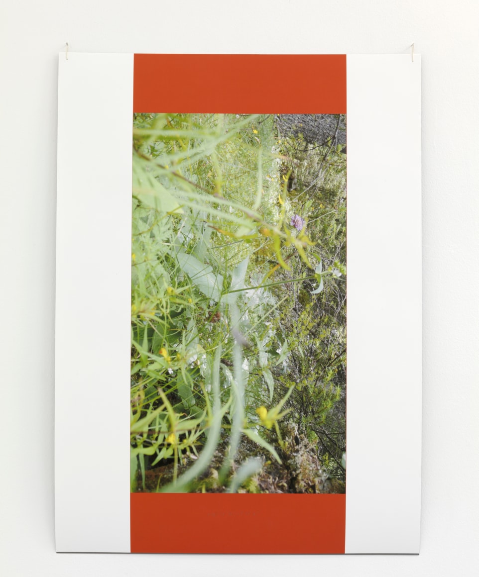 Helen Mirra: Conscience de pierre – installation view 11