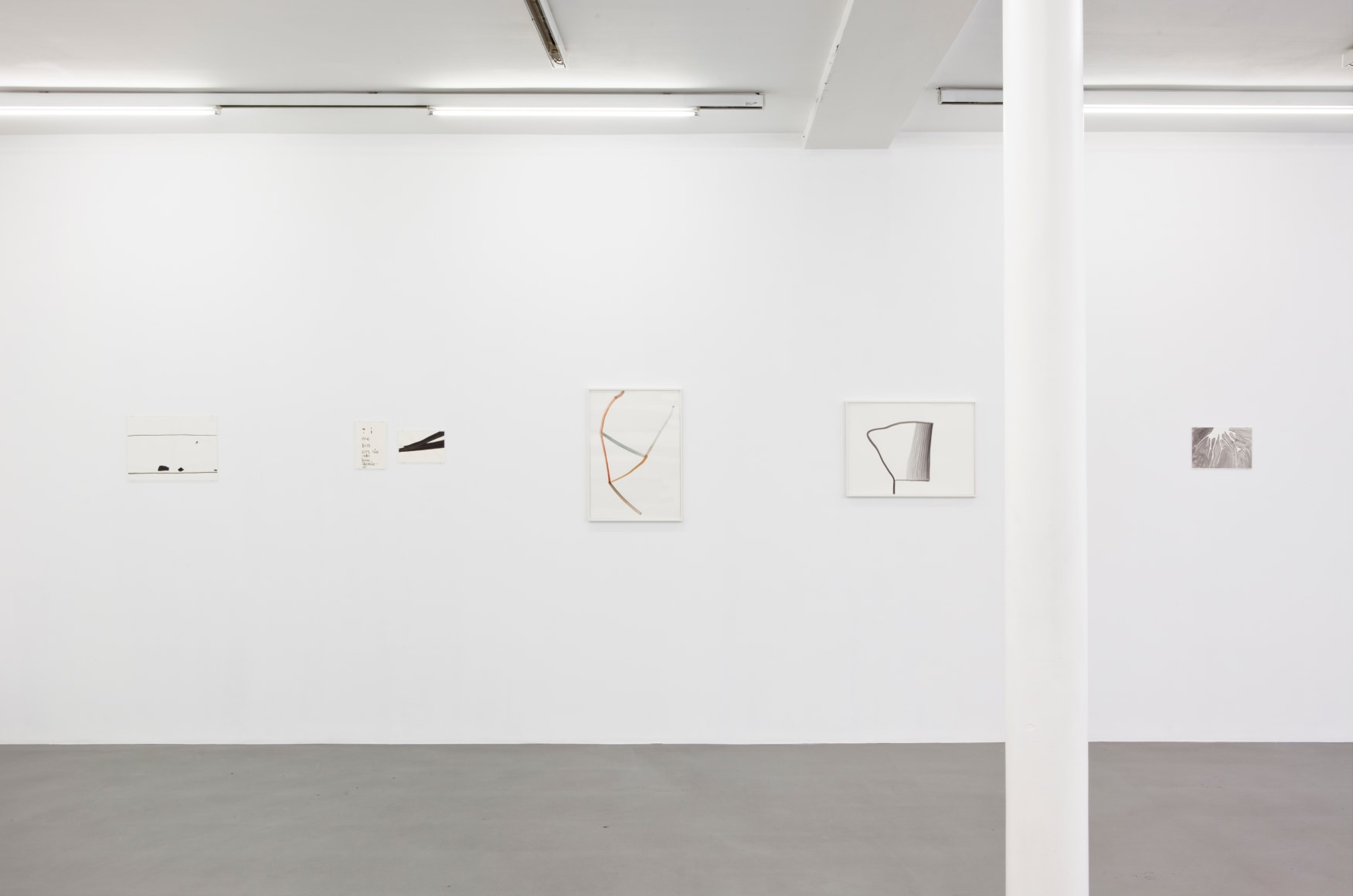 Silvia Bächli, Peter Freeman, Inc., Paris