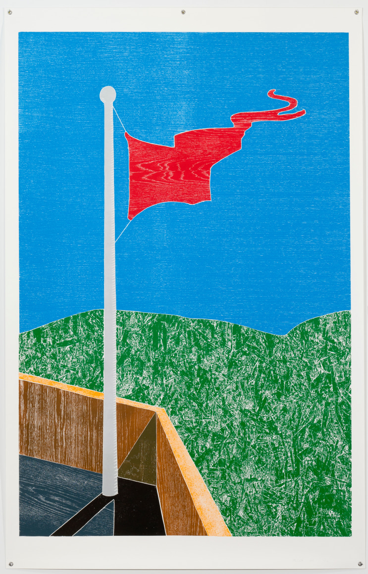 Thomas Schütte Flag