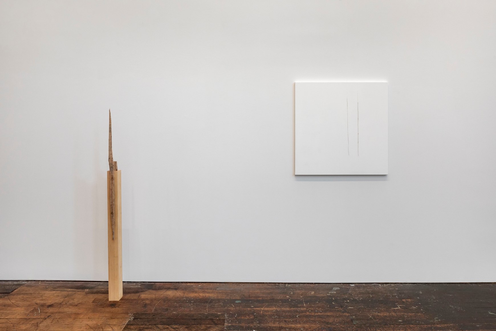 Fernanda Gomes, installation view