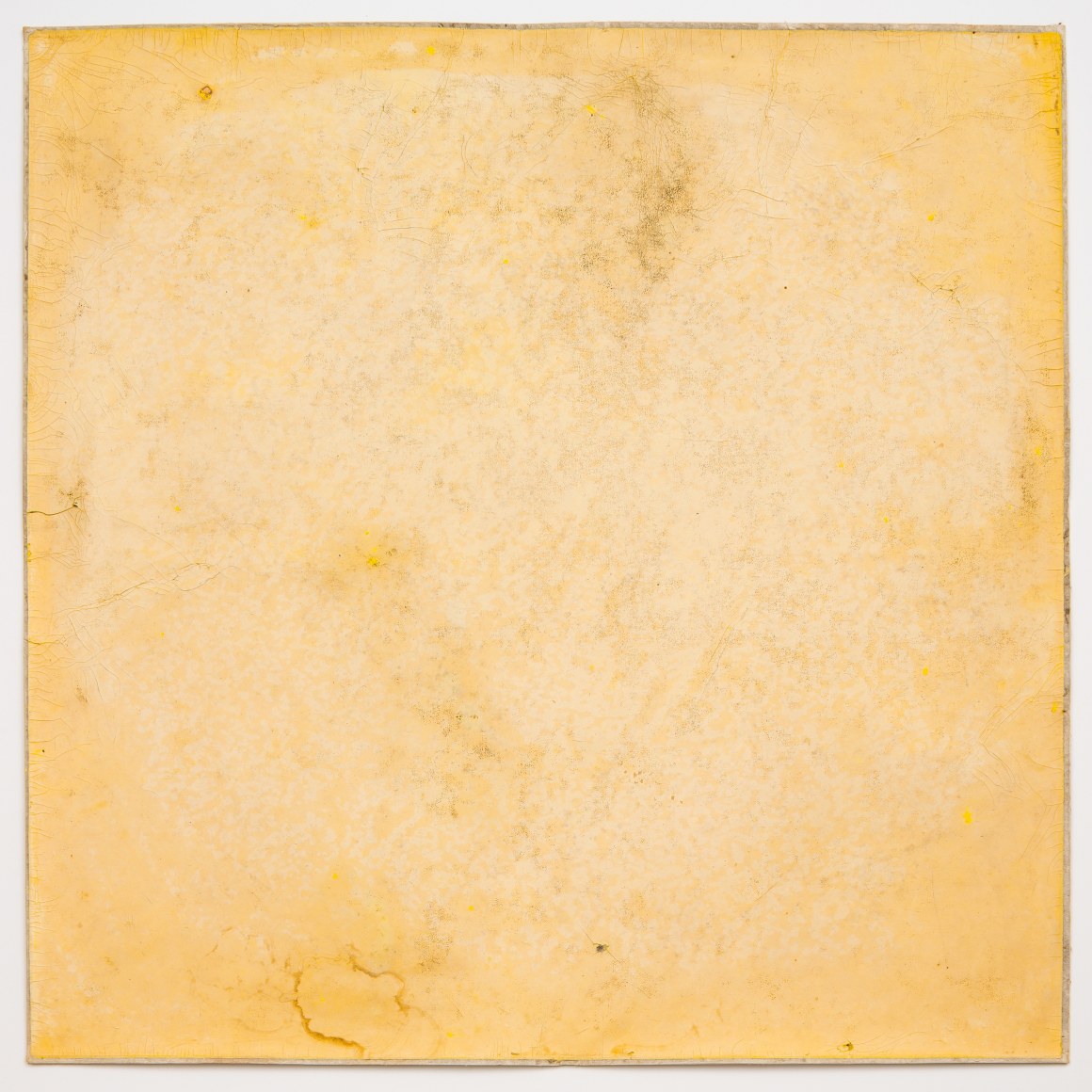 ALEX HAY Sun Print