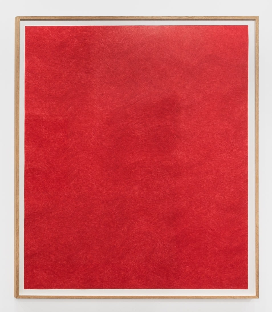 DAVID ADAMO , Untitled, Part VIII