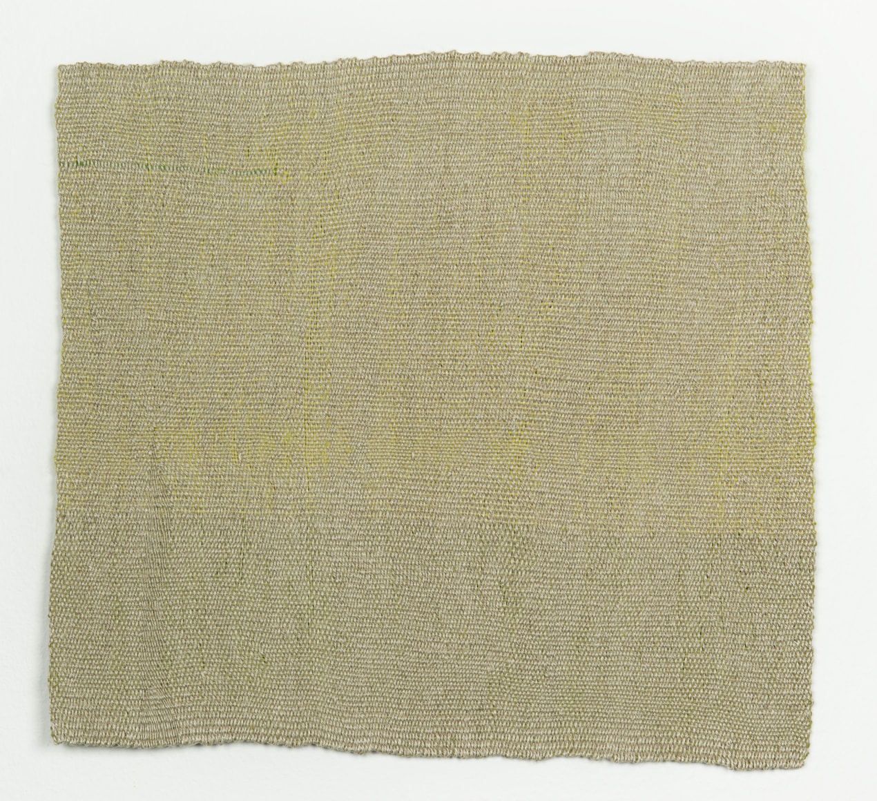 Helen Mirra Plain mirror