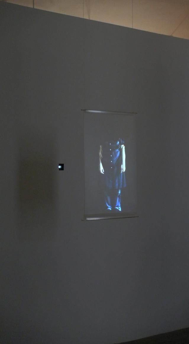 Fiona Tan Projection