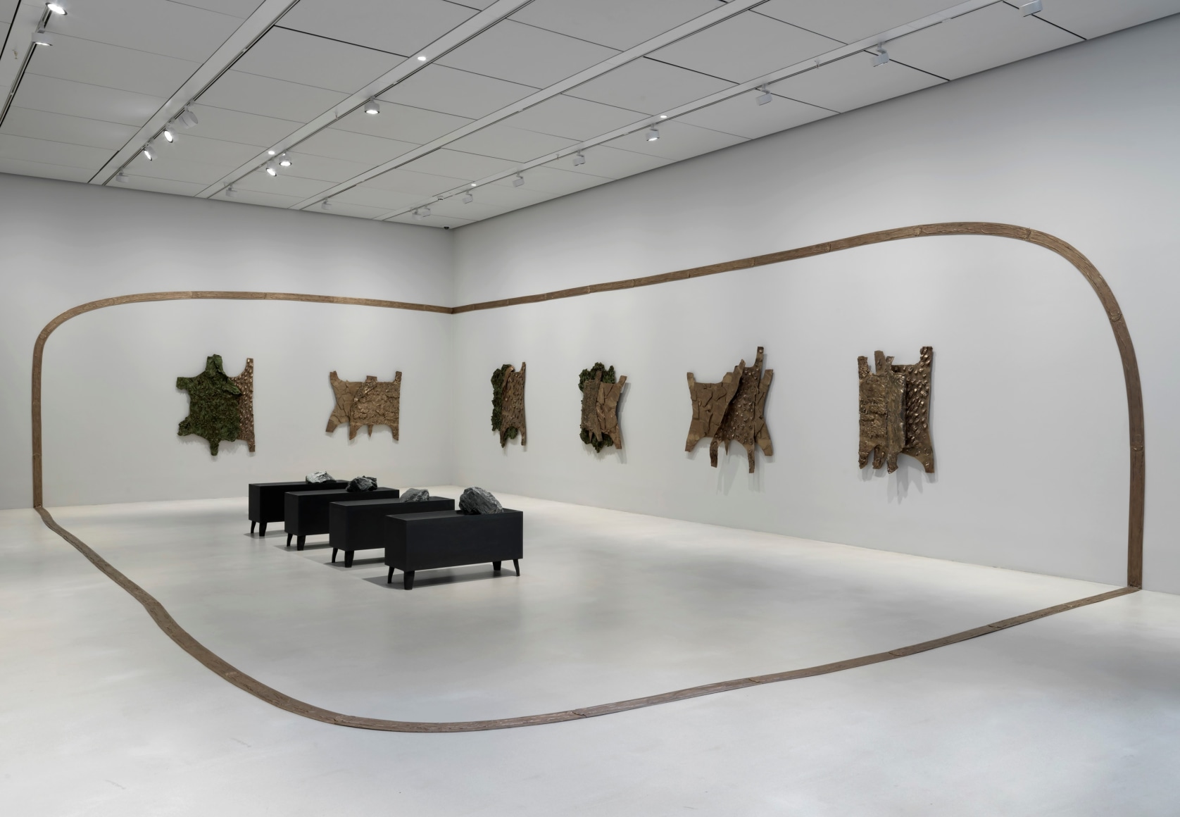Lucy Skaer: Forest on Fire