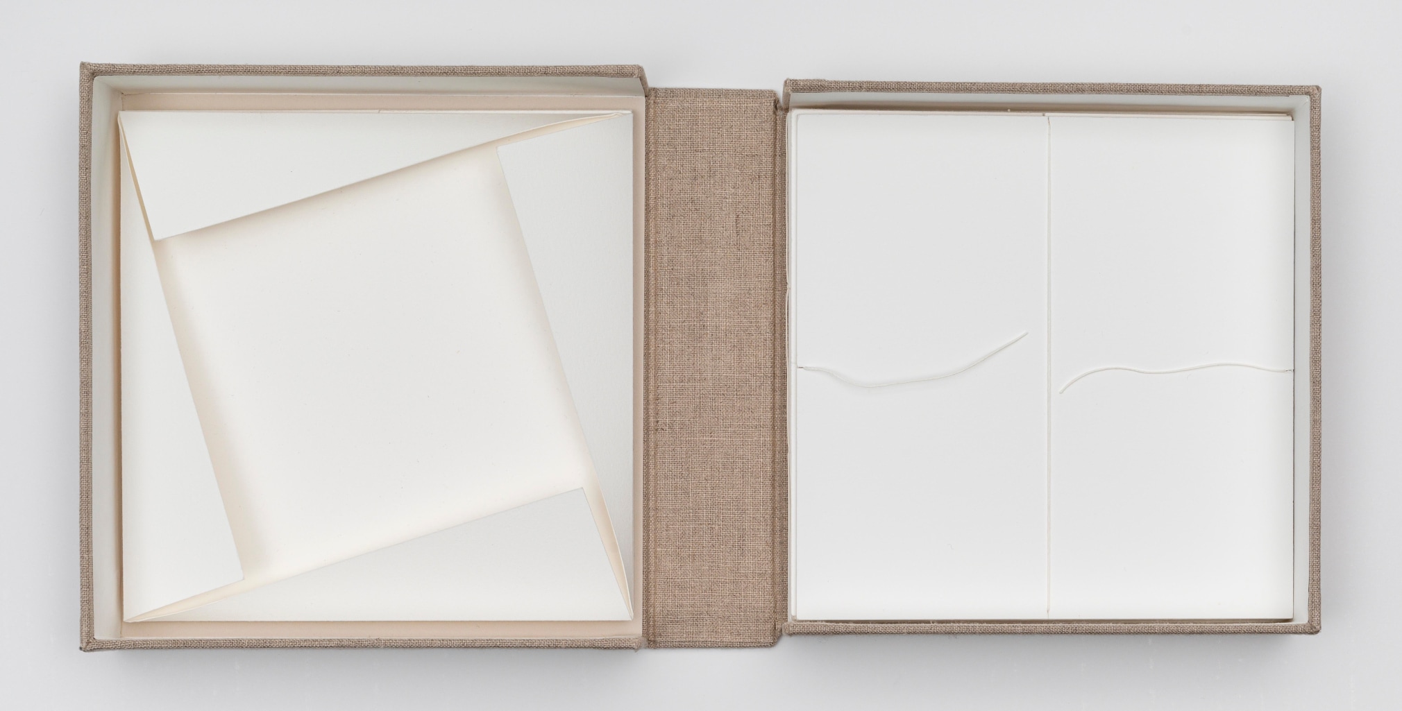 Fernanda Gomes | Seven handmade paper sculptures