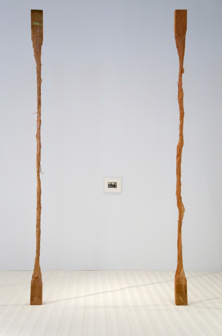David Adamo / James Castle – installation view 5