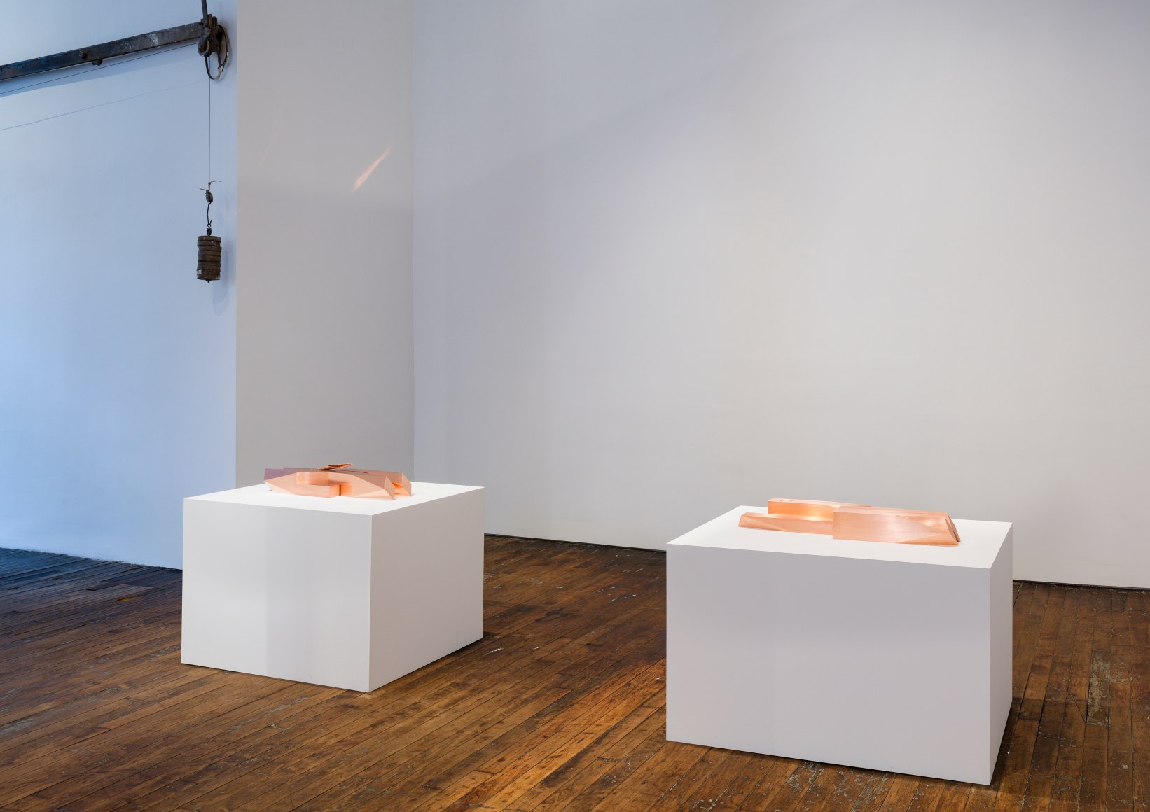 Lucy Skaer: Sentiment – installation view 3