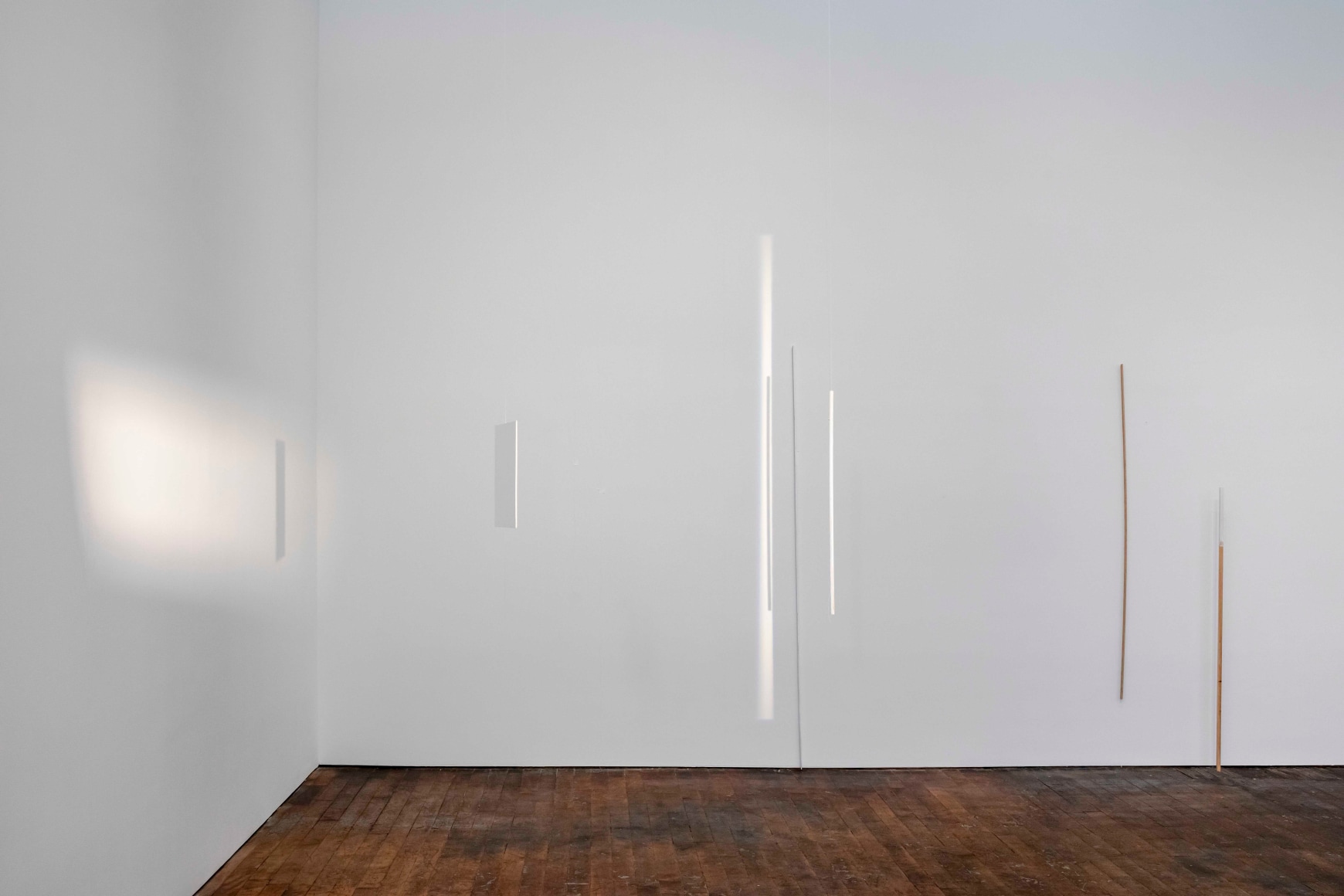 Fernanda Gomes, installation view