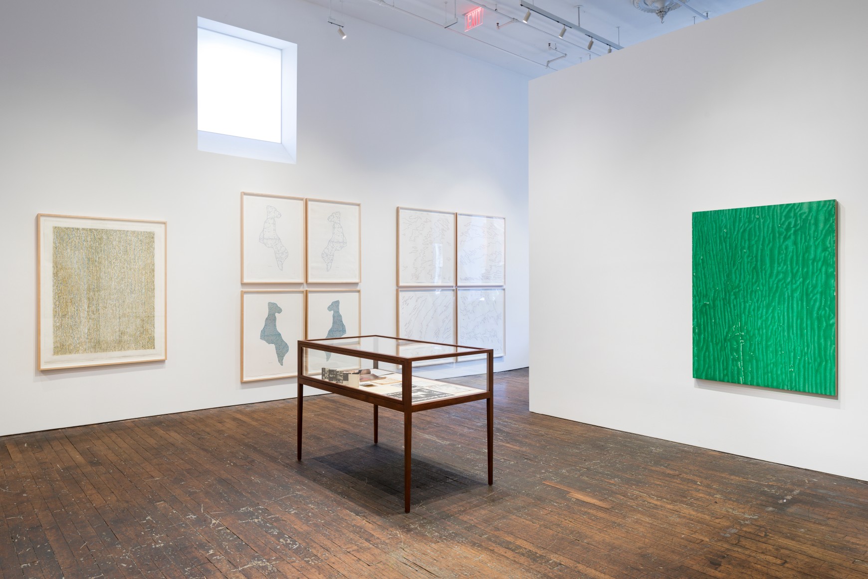 Past Work and Cats, 1963-2020, installation view