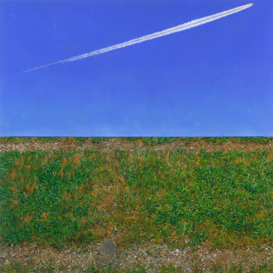 Catherine Murphy, 