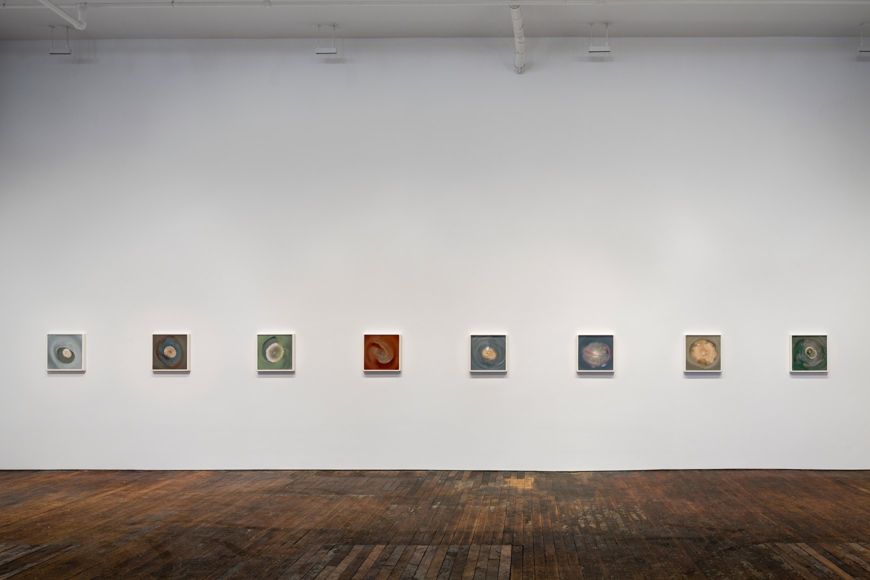 Dove Allouche: Le beau danger – installation view 6