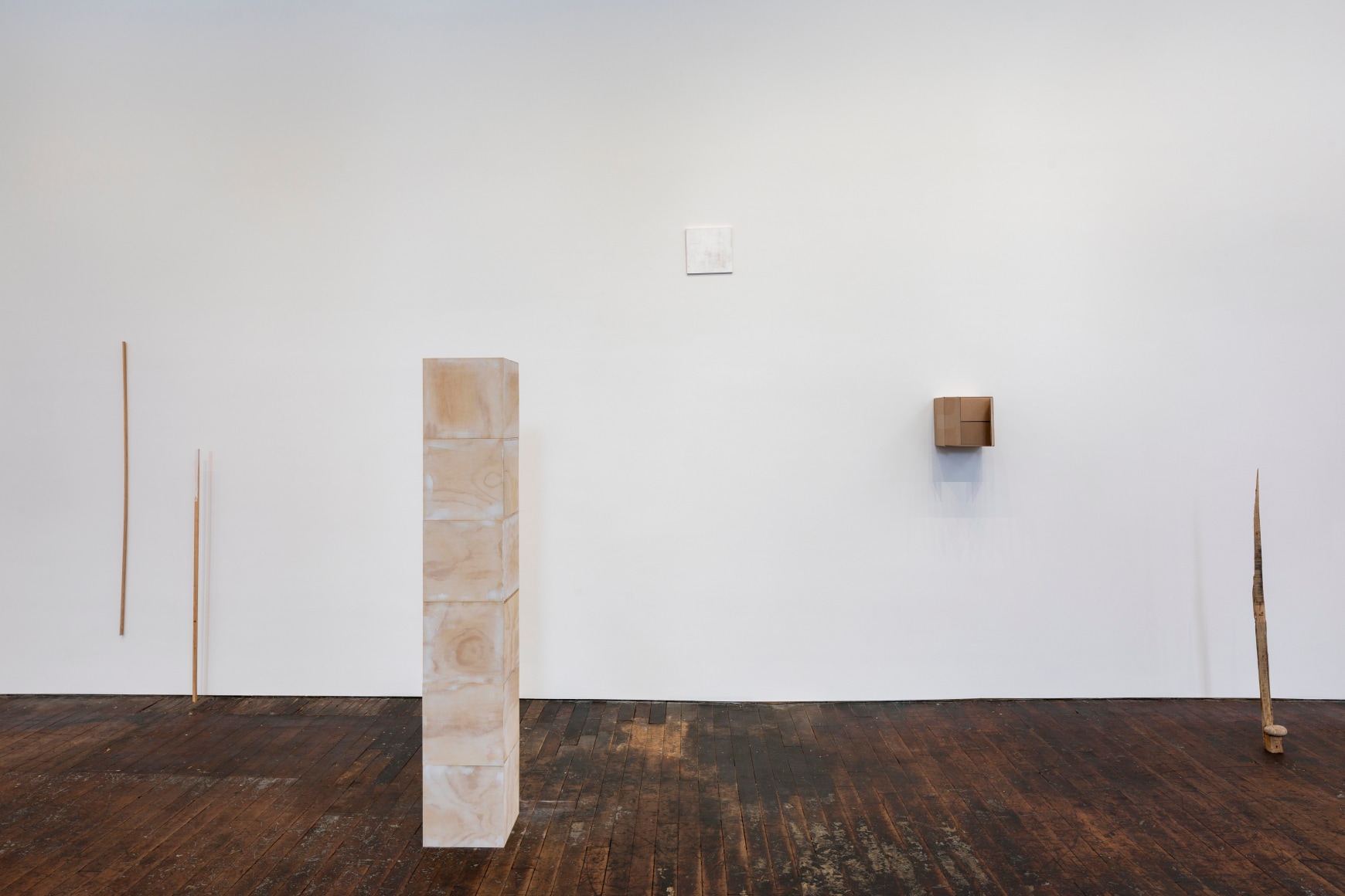 Fernanda Gomes, installation view